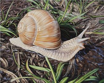 Nomad - Christophe Drochon