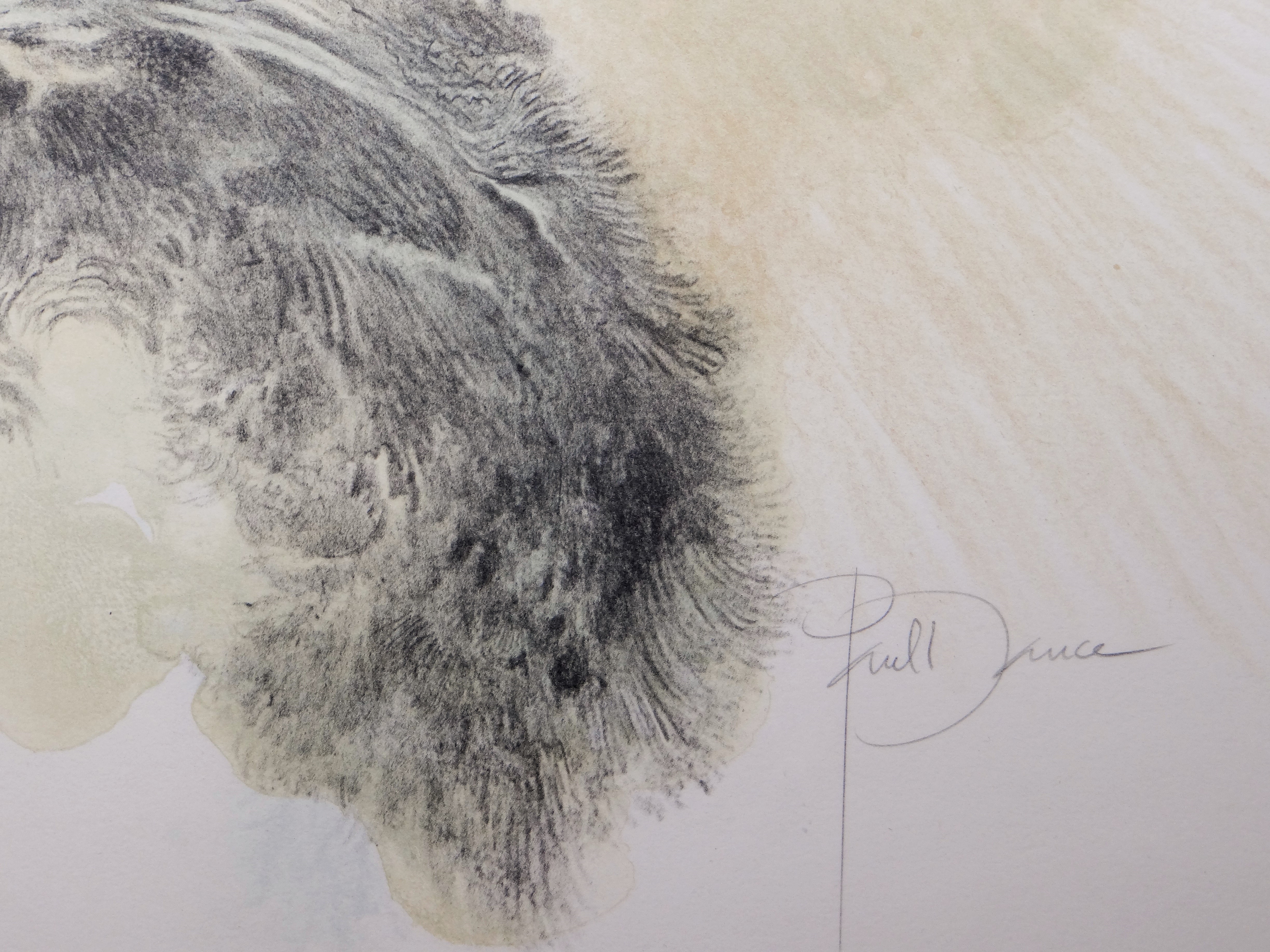 Artwork by Paul Daucé, Illustration for the book Daphnis et Chloé, Made of arches vellum paper