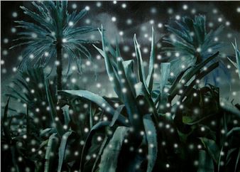 Hédy Gobaa: (Géoportait) Naître personne - Art Mur