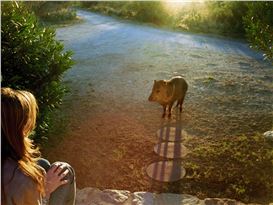 Arizona Retrospective Spotlights Linda McCartney's Photography - InsideHook