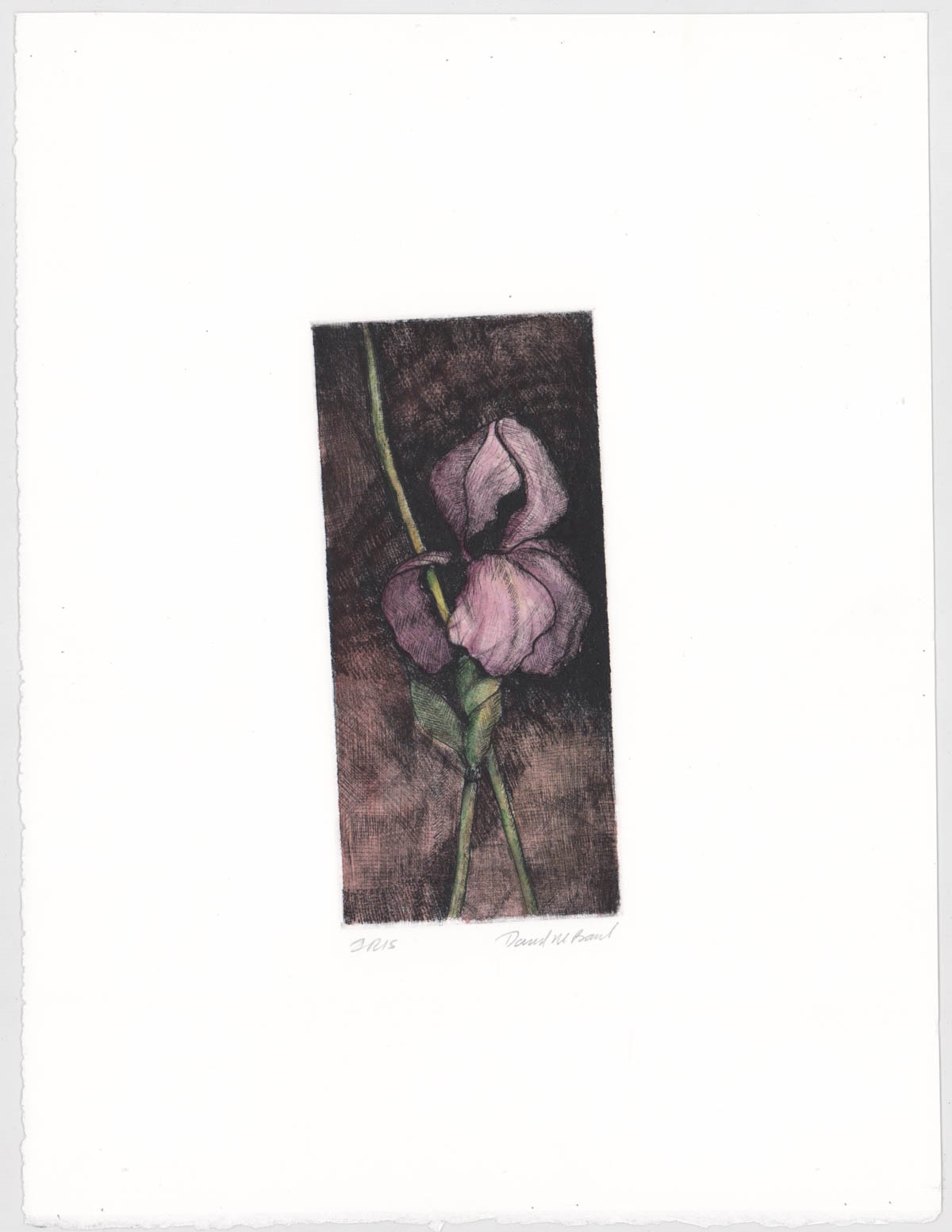 Artwork by David Baird, Nine (9) etchings, Made of Etchings