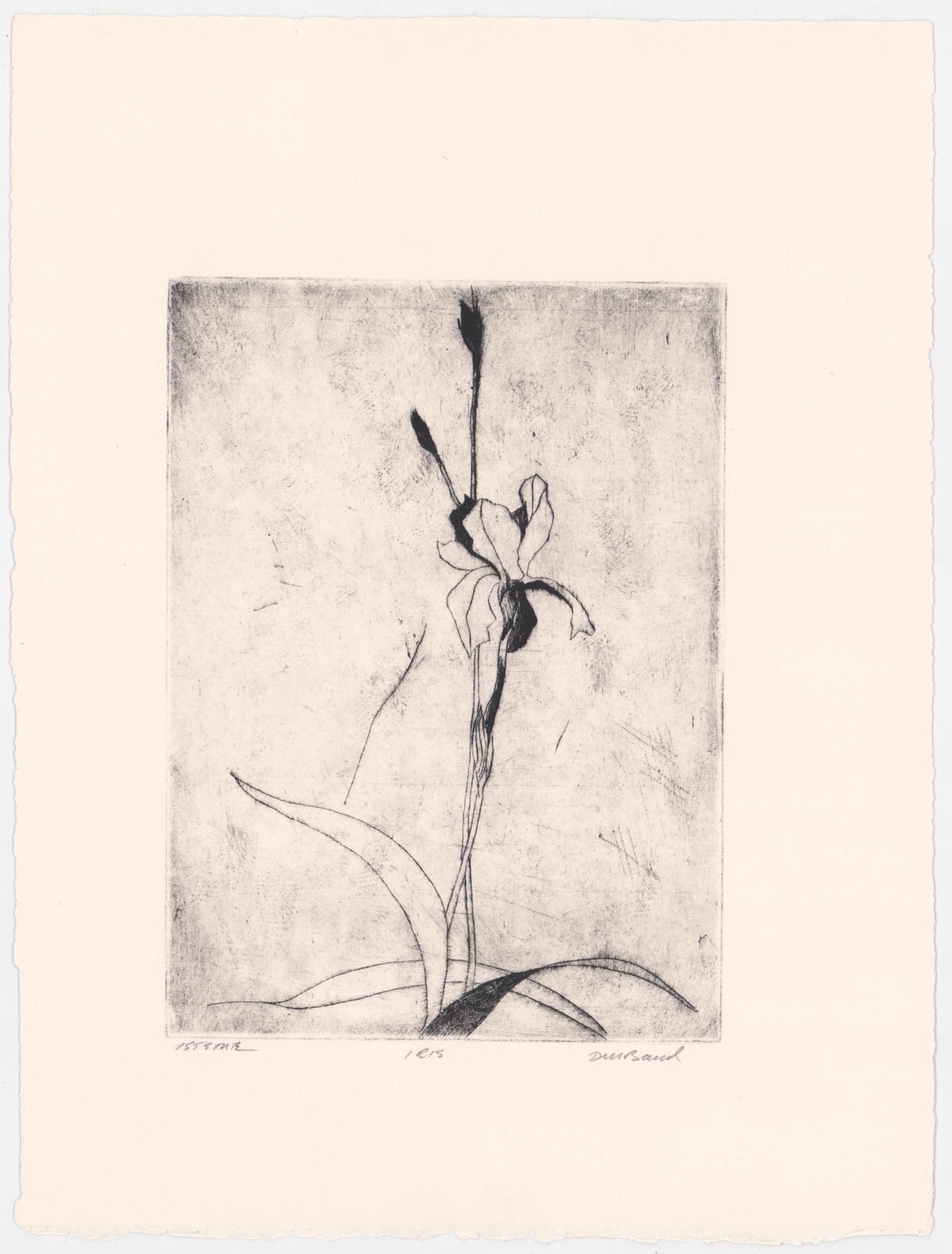 Artwork by David Baird, Nine (9) etchings, Made of Etchings