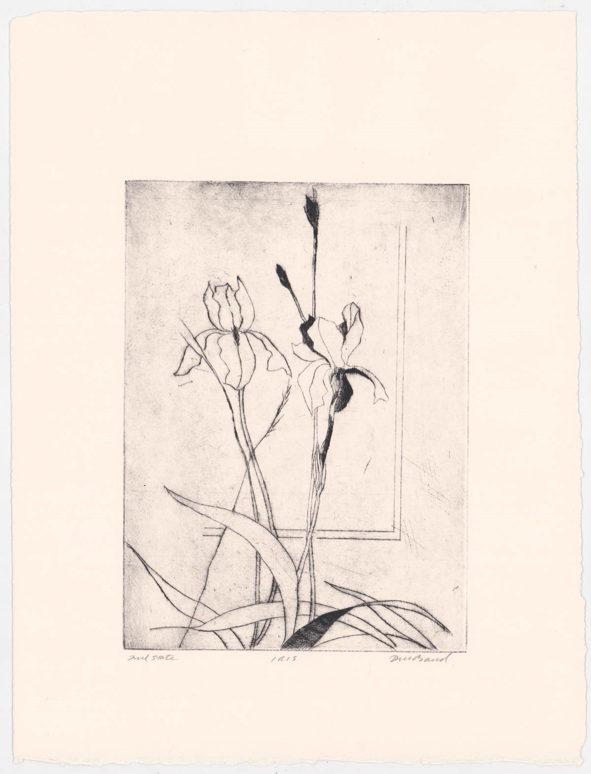 Artwork by David Baird, Nine (9) etchings, Made of Etchings