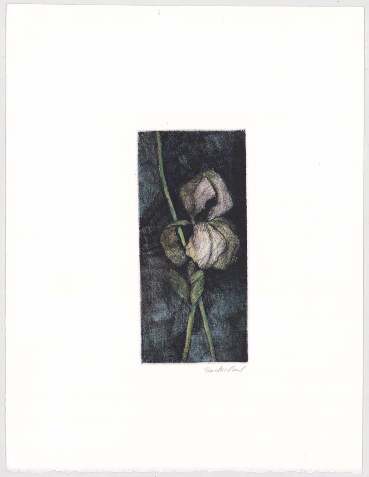 Artwork by David Baird, Nine (9) etchings, Made of Etchings