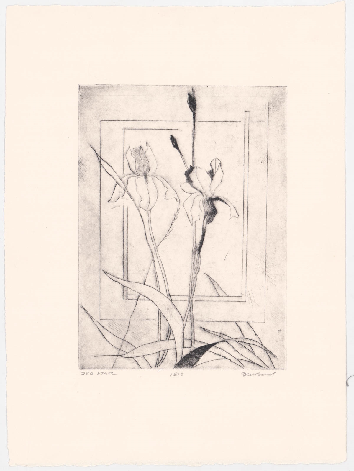 Artwork by David Baird, Nine (9) etchings, Made of Etchings