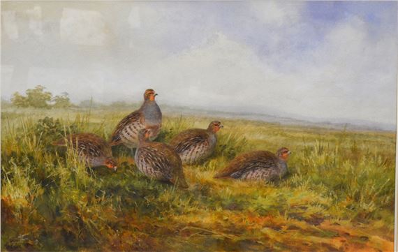 partridges, by Neil Cox
