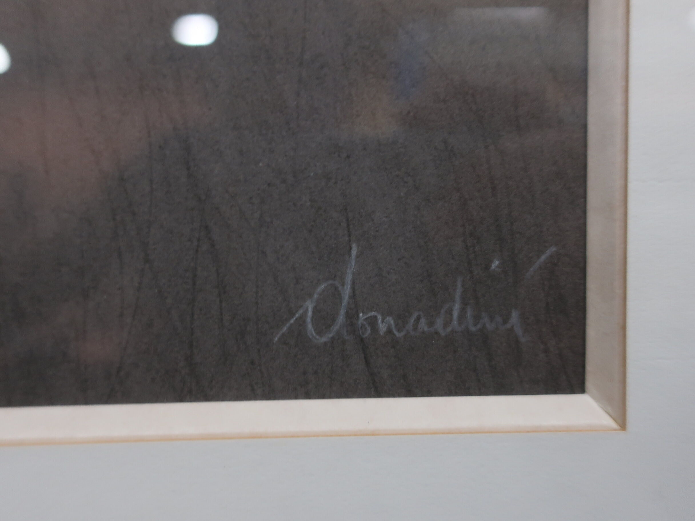 Artwork by Jean-Paul Donadini, JEAN-PAUL DONADINI (né en 1951) - Cygne au lys, Made of Lithograph