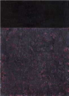 Untitled - Thomas Rajlich