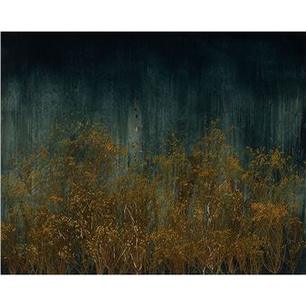 Mayme Kratz: Dark Garden - Lisa Sette Gallery