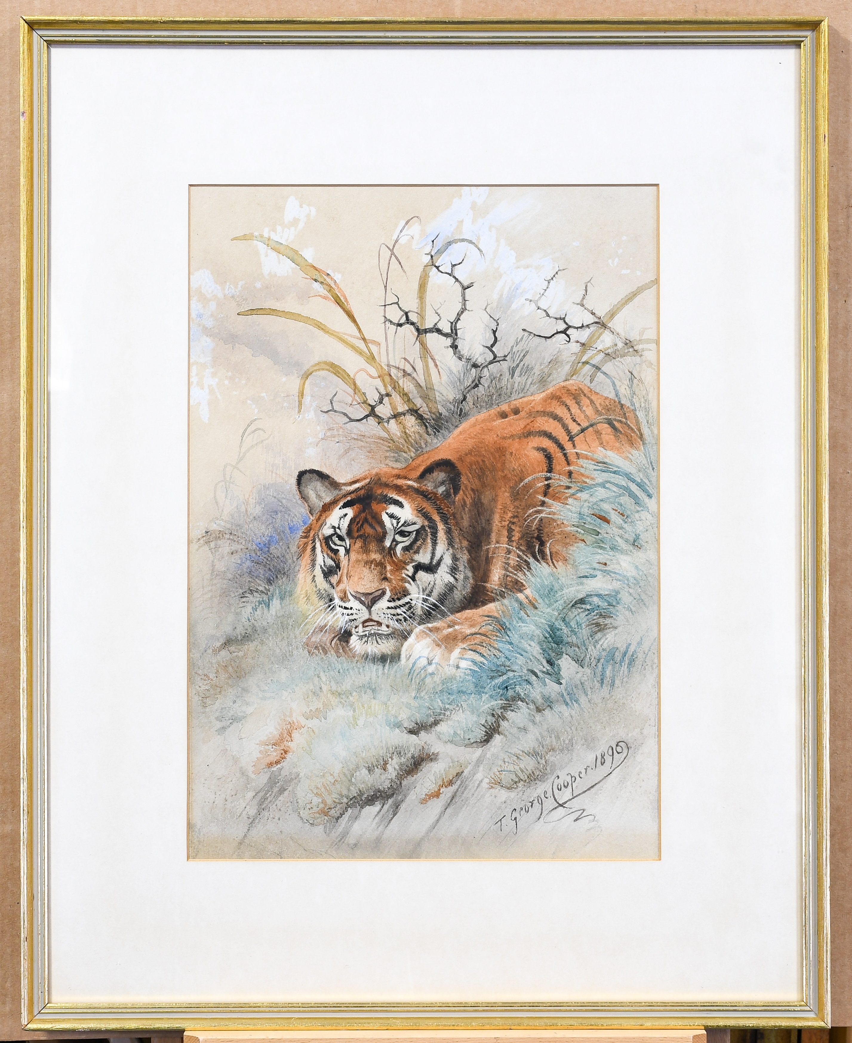 Thomas George Cooper | Study of a tiger in the undergrowth (1890 ...