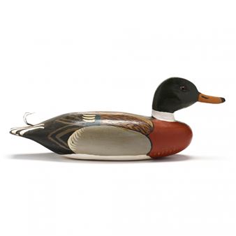 Mallard - Doug Jester