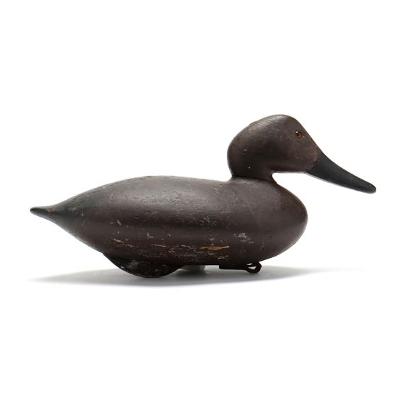 Hen Canvasback from The Pilentary Club by Mitchell Fulcher, 1900