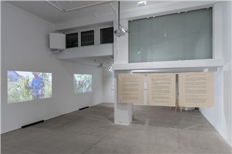 Simone Forti: Distant Lands - Raffaella Cortese Galleria