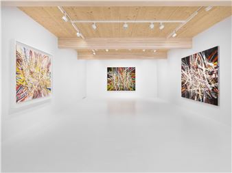 Mark Grotjahn: Backcountry - Gagosian, Gstaad