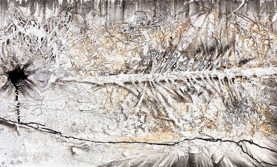 Untitled by James Robinson