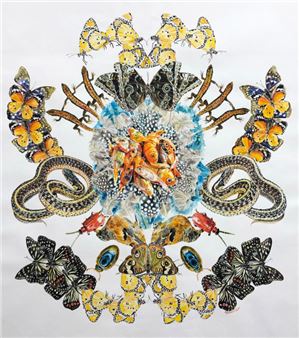 Augustina Droze: Brocade - BoxHeart