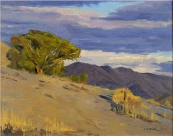 Landscape - Lone Tree on Hill - Craig Mitchell