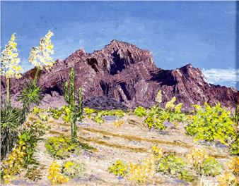 Desert Landscape - Kofa Mountains - Marian Rice