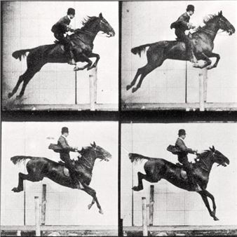 Eadweard Muybridge: Animal Locomotion - Laurence Miller Gallery