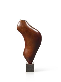 Der Schrei Abstrakte Form - Lucien Wercollier