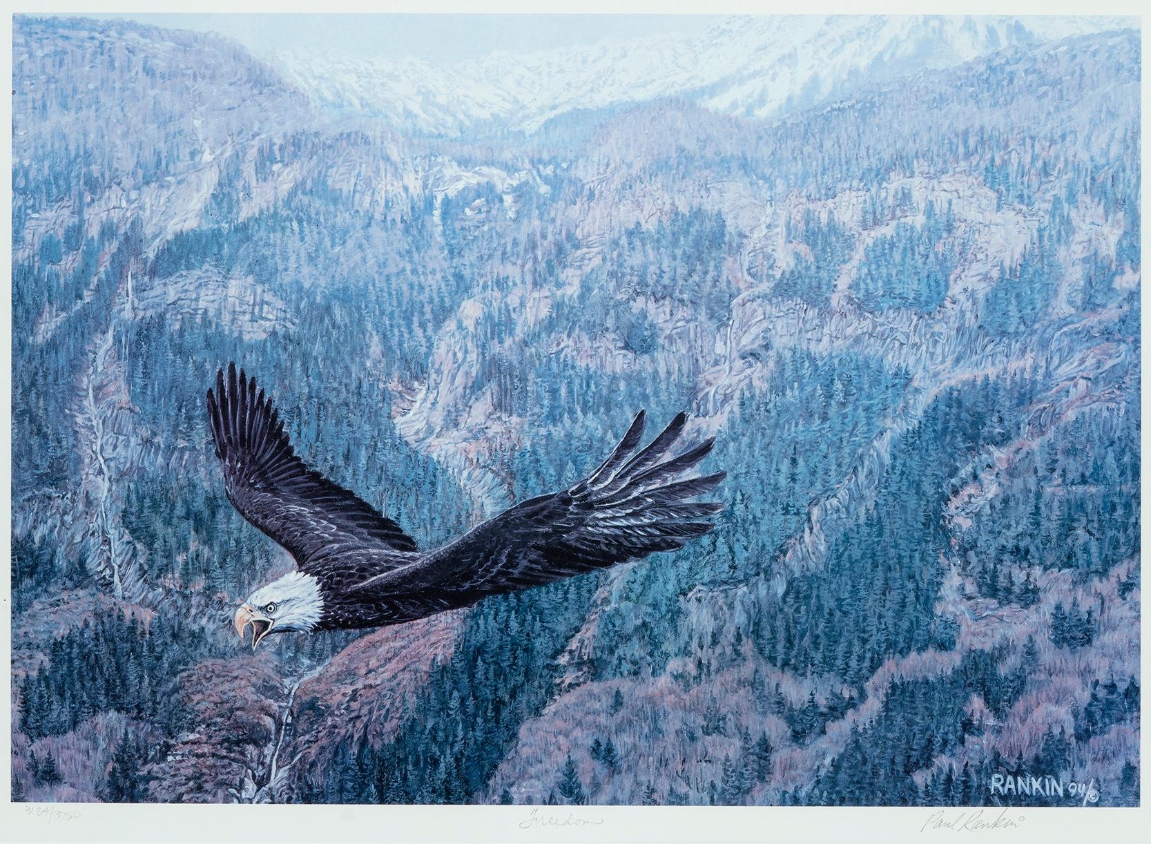 Paul Rankin Freedom (1994) MutualArt