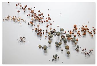 Untitled (Mushrooms) - Roxy Paine