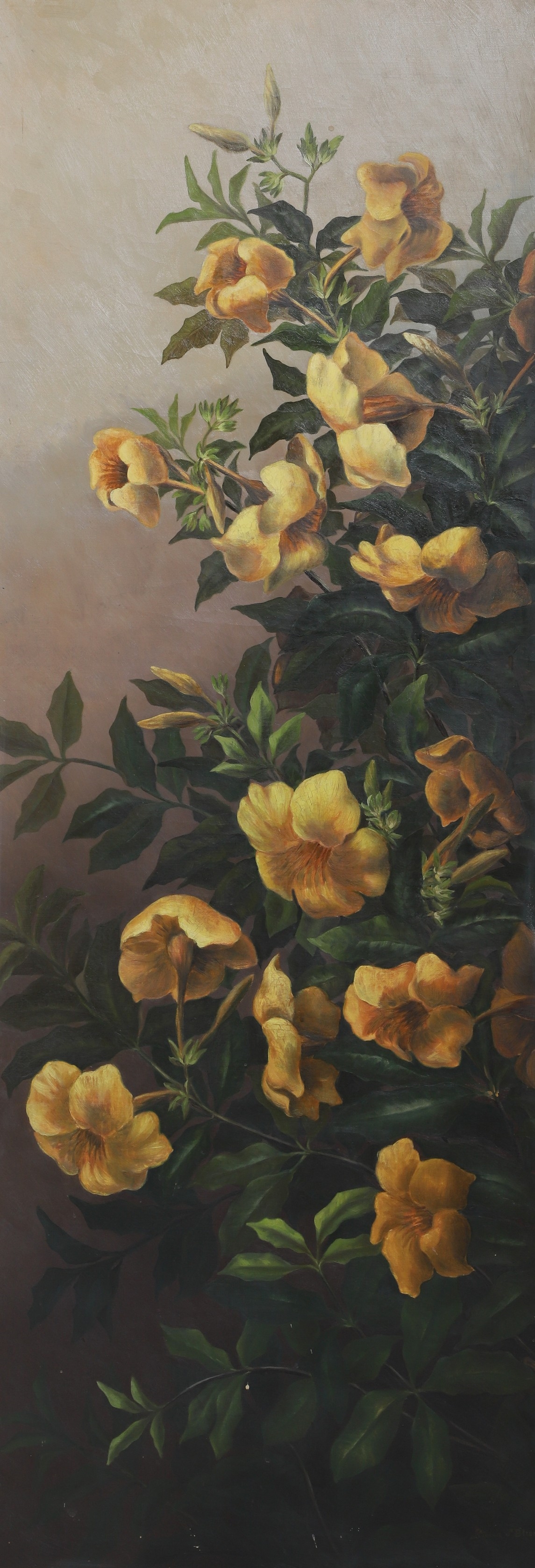 Artwork by Lucia Smith Bliss, Lucia S Bliss  Floral Paintings (American, Made of oil on canvas