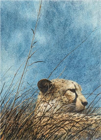 John Schoenherr | Cheetah running across a field | MutualArt