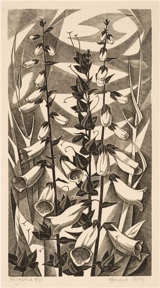 Foxgloves by Monica Poole, circa 1975