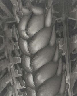 Work by Yoshifumi Hayashi, 1994