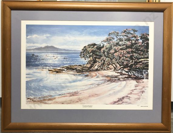 Pohutakawa Rangitoto - Gary S. Schofield