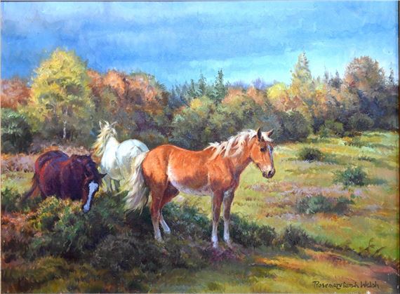 Ponies in a paddock by Rosemary Sarah Welch