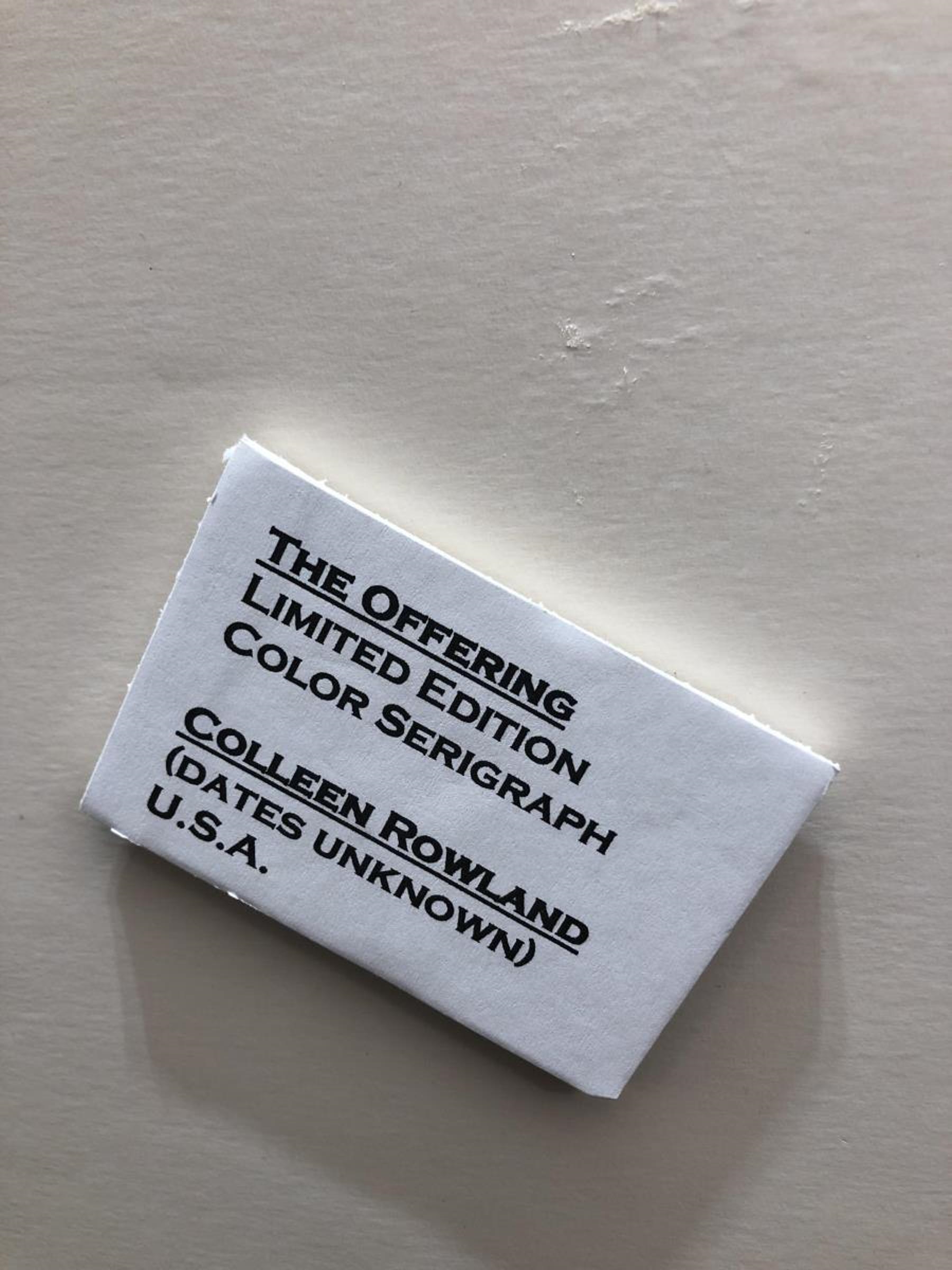 Colleen Rowland The Offering MutualArt