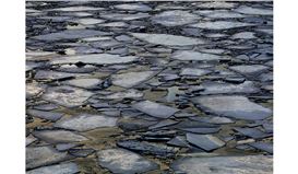 CAROLYN MARKS BLACKWOOD  ‘Water Water Everywhere’ at Von Lintel Gallery