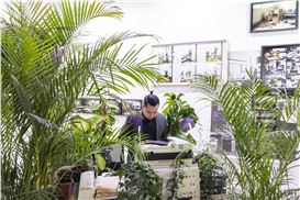 The Best Booths at Art Dubai, from a Verdant Office Space to Visions of Urban Decay