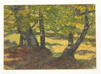 Autumnal woodland - Max Moser