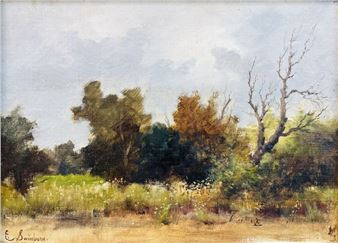 Forest landscape - Enrique Swinburn Kirk