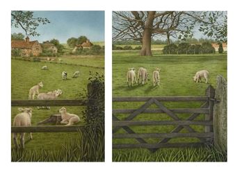 Lambs grazing at Wimpole, Cambridgeshire - Sally Hynard