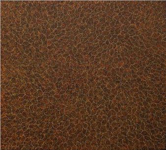 Bush Seeds - Annie Nelson