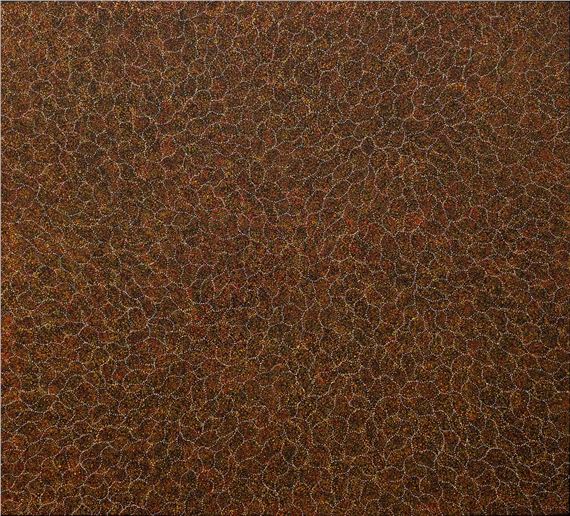 Bush Seeds by Annie Nelson, Painted in 2021