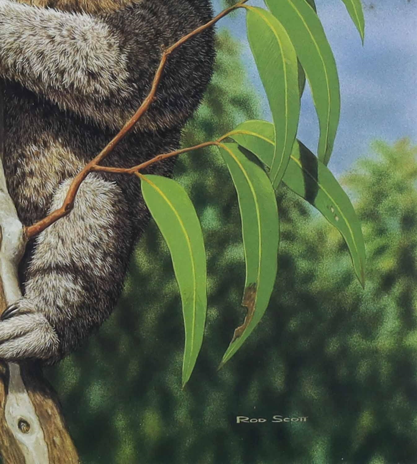 Rod Scott | Koala (1991) | MutualArt