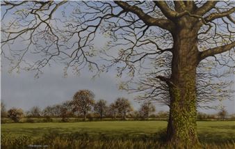 Autumn Sunshine and October Morning Selby - J. P. Serman