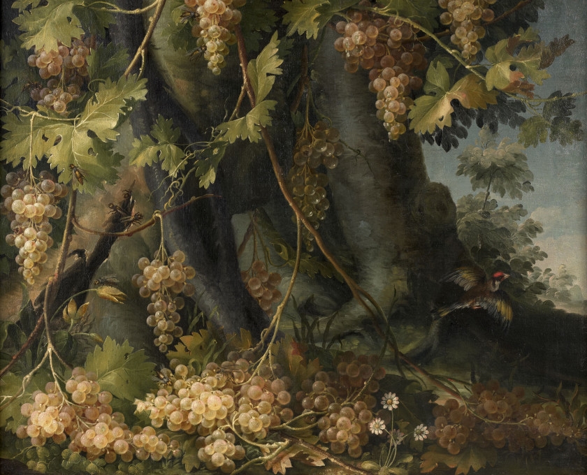 Artwork by Francesco Malagoli, Grappes de raisins et chardonneret dans un sous, Made of oil on canvas