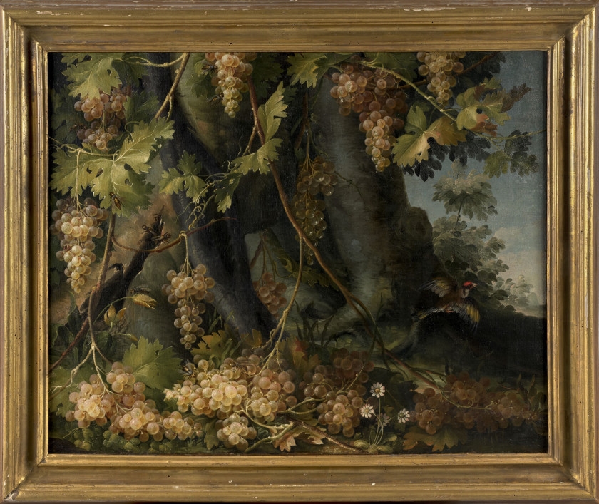 Artwork by Francesco Malagoli, Grappes de raisins et chardonneret dans un sous, Made of oil on canvas