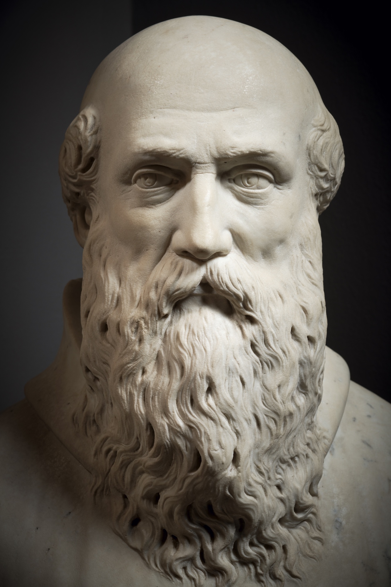 Artwork by Agostino Zoppo, Bust of Guido of Arezzo, Made of marble