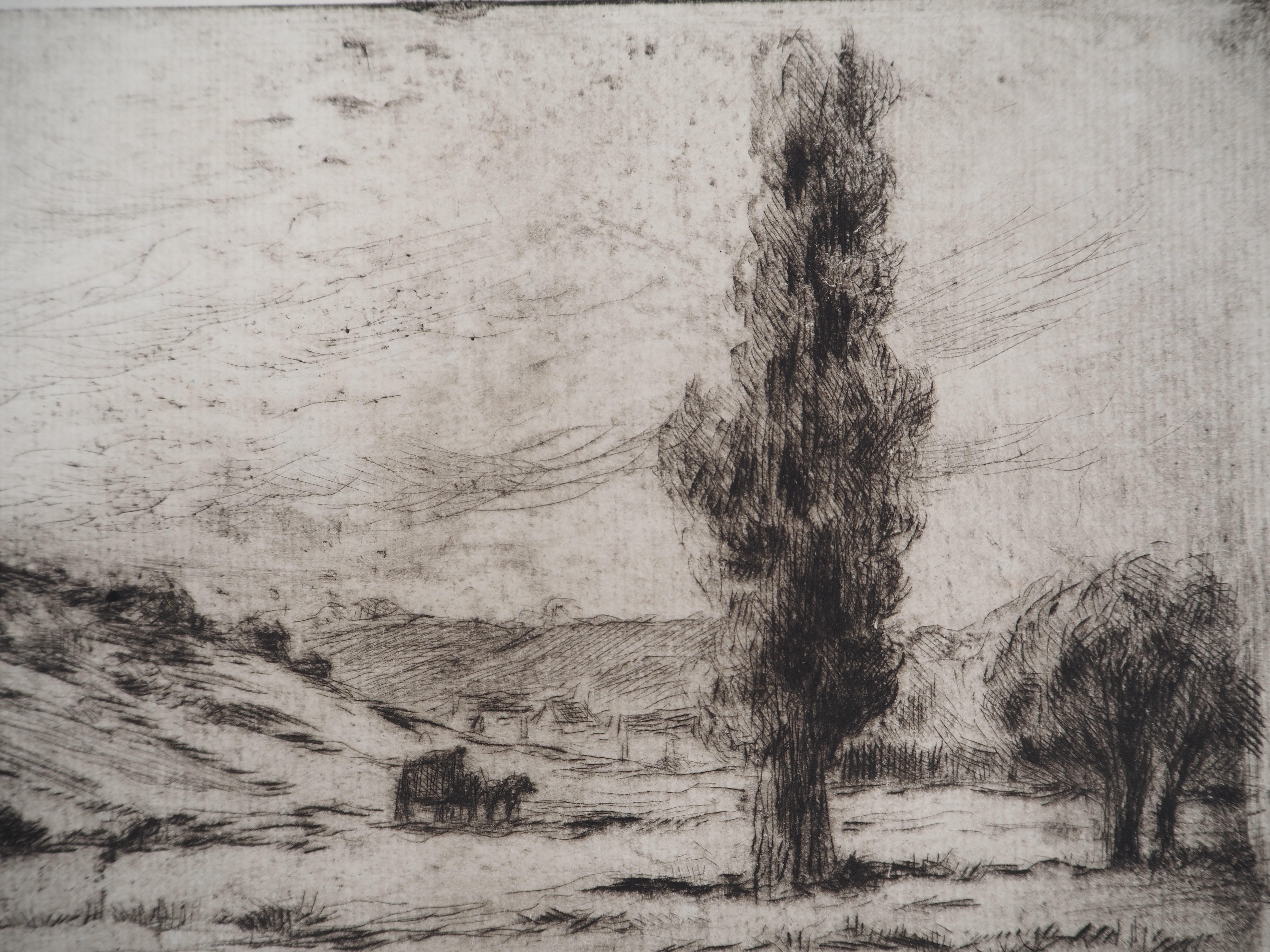 Artwork by Maximilien Luce, Countryside landscape, Made of drypoint etching on laid paper