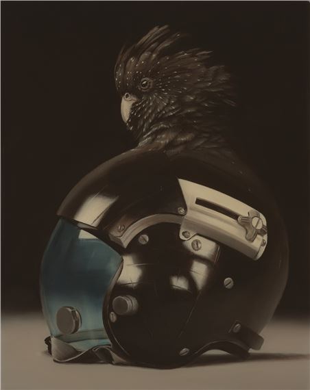 Cockatoo and Helmet by Sam Leach