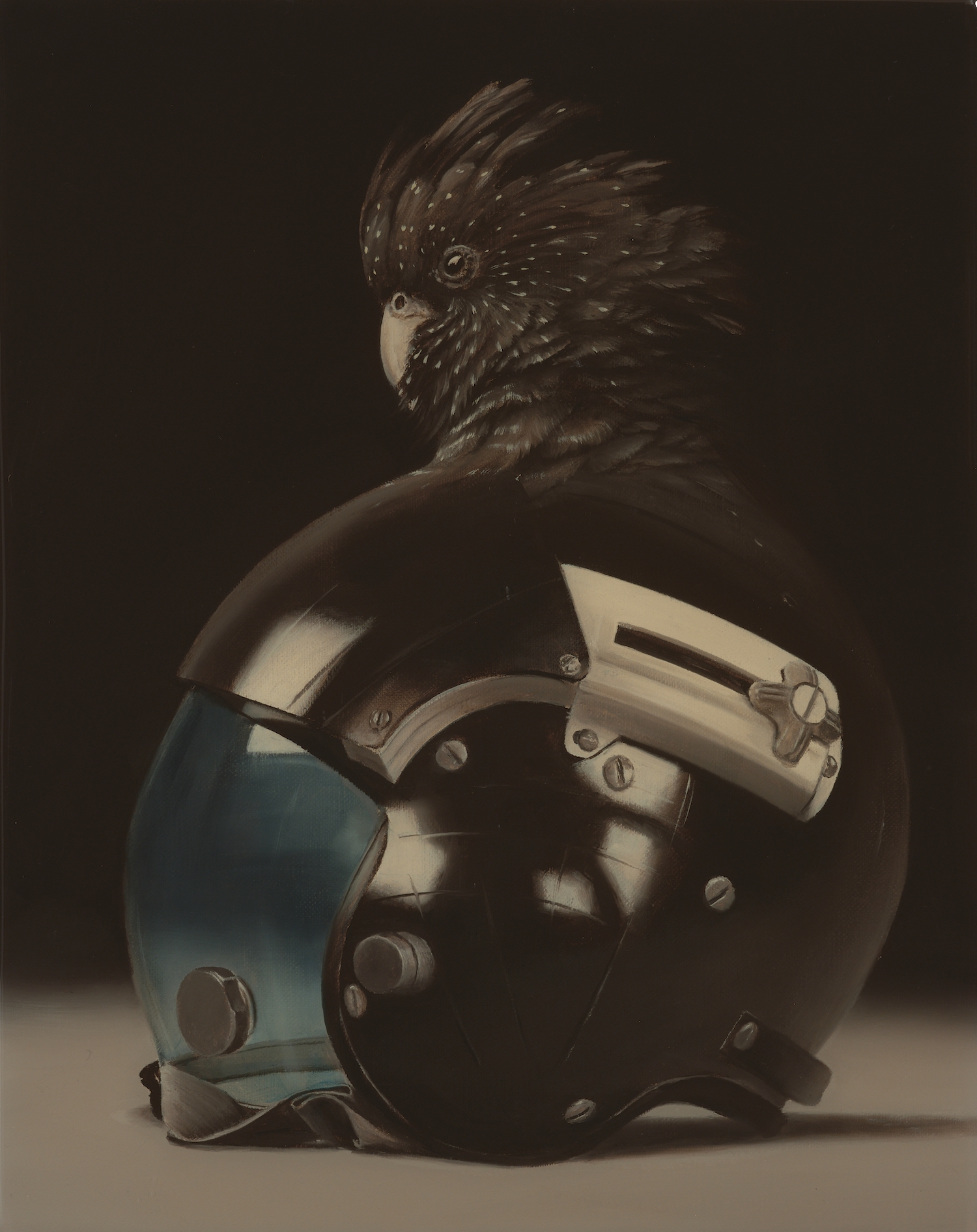 Cockatoo and Helmet by Sam Leach