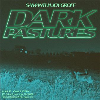 Samantha Joy Groff: Dark Pastures - Half Gallery, New York