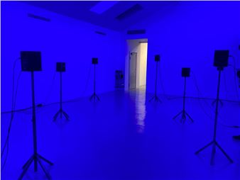 Sonic Variables and Peripheries